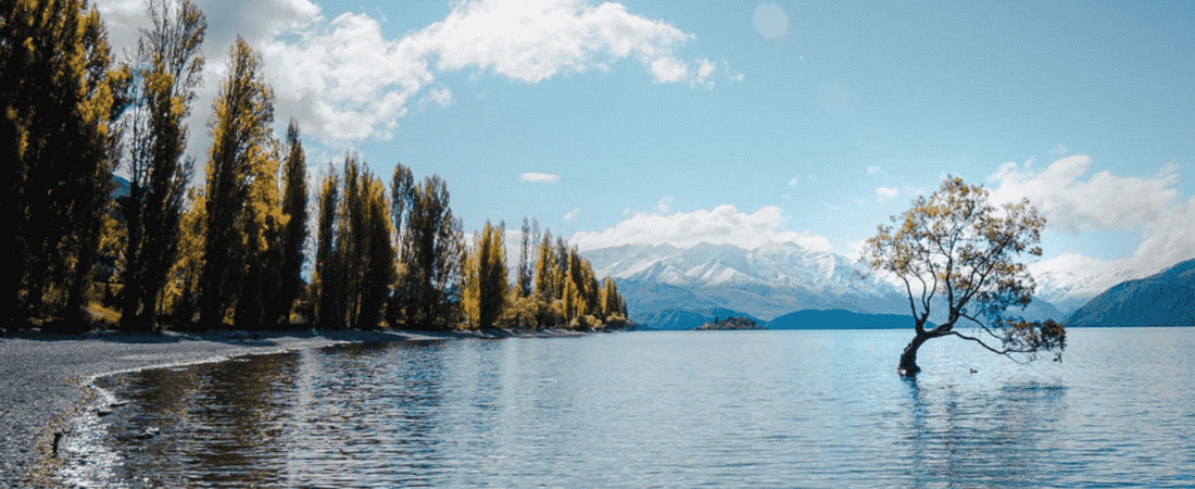 scenic view of the snowy alps and mountains